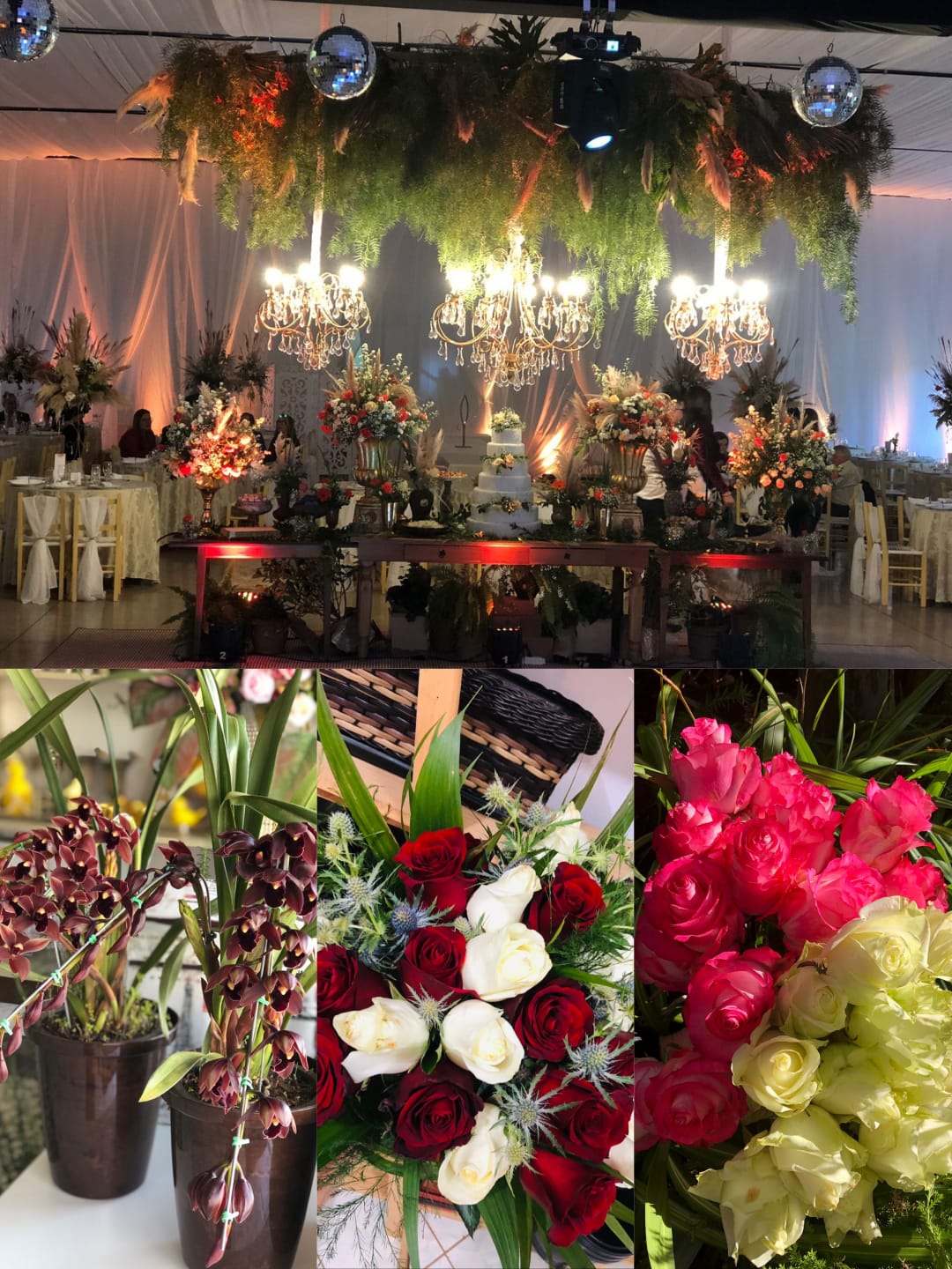 Foto bruna flores floricultura.jpg